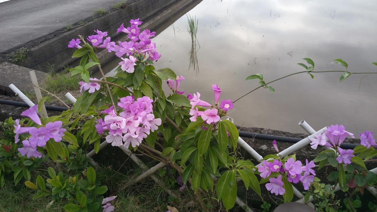 阿根廷烤肉餐厅民宿 Yilan 外观 照片